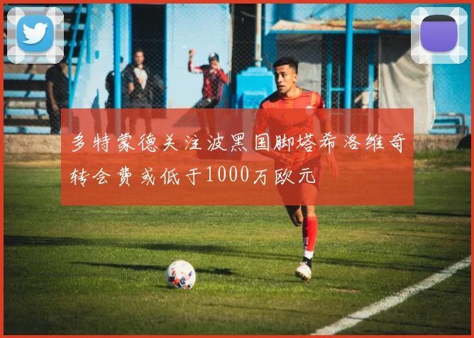 多特蒙德关注波黑国脚塔希洛维奇转会费或低于1000万欧元