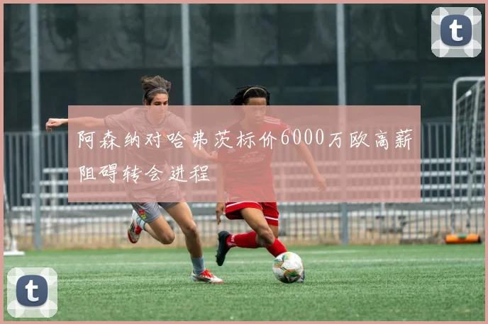 阿森纳对哈弗茨标价6000万欧高薪阻碍转会进程