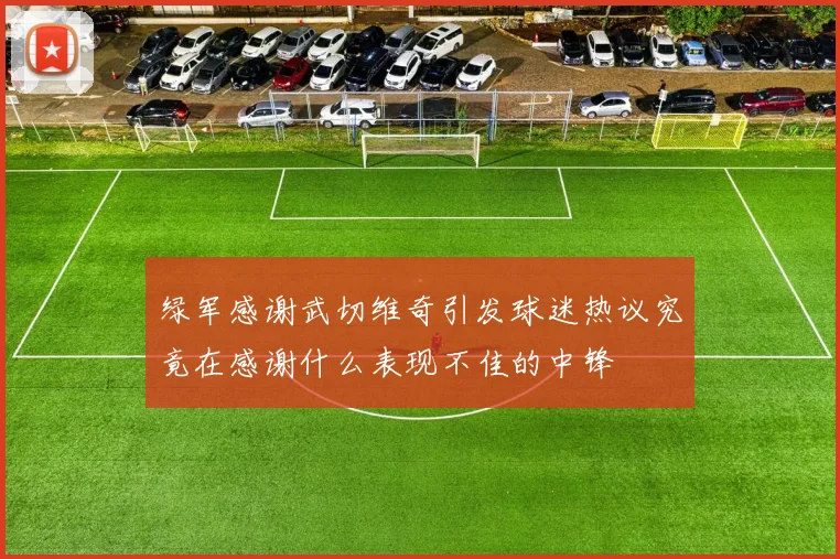 绿军感谢武切维奇引发球迷热议究竟在感谢什么表现不佳的中锋